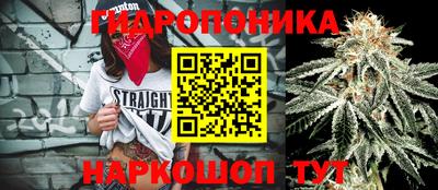 крисы Вязьма
