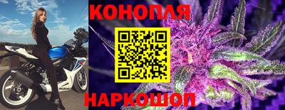 ПСИЛОЦИБИНОВЫЕ ГРИБЫ Вязники