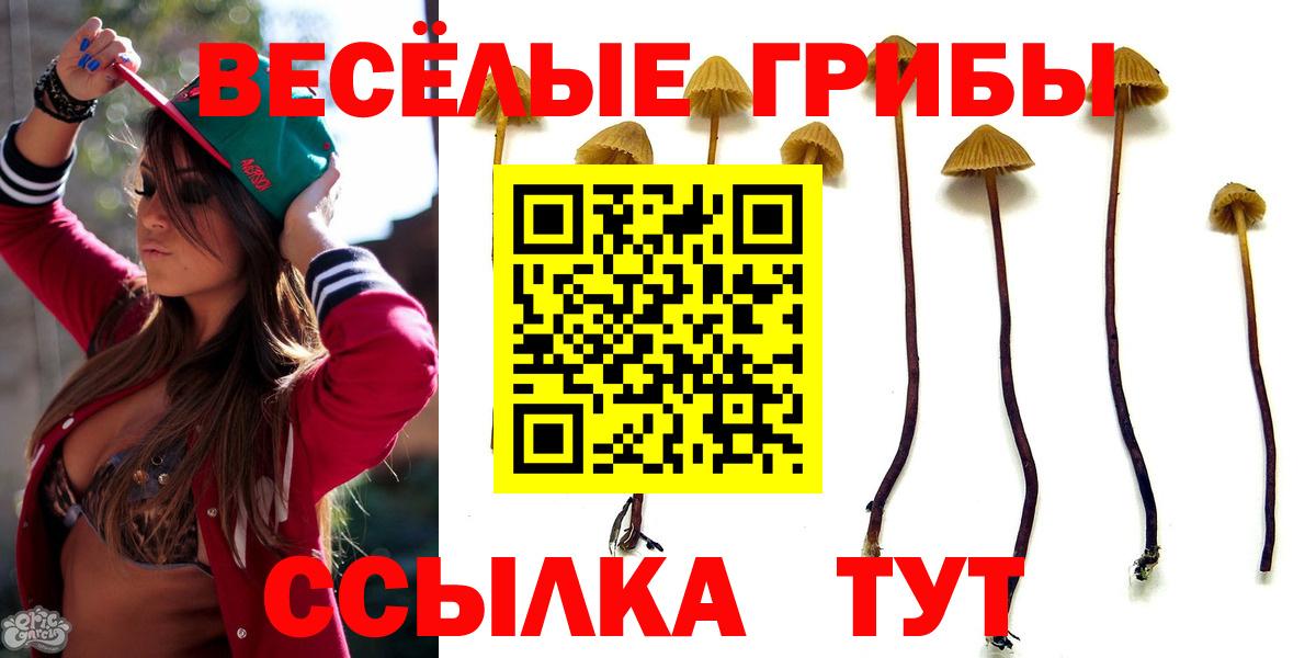 Калуга  Псилоцибиновые грибы ЛСД  Псилоцибиновые грибы Magic Shrooms  Вход с VPN 