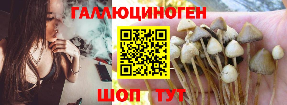 Галлюциногенные грибы MAGIC MUSHROOMS Калуга